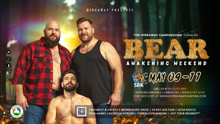 Bear Awakening poster